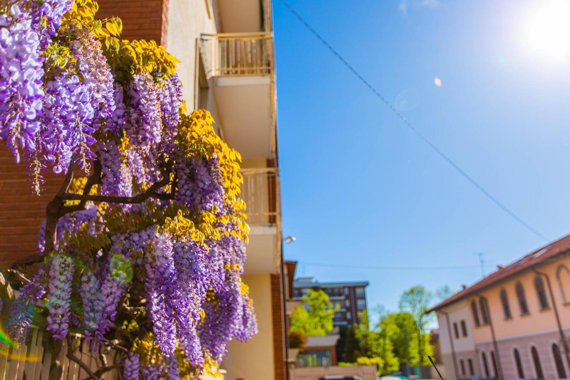 Al 4 Hotel Busto Arsizio Kültér fotó